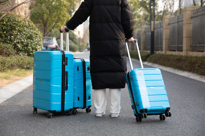 Hardshell Suitcase Spinner Wheels Set