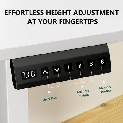 Electric Standing Adjustable Desk Ergonomic Desk